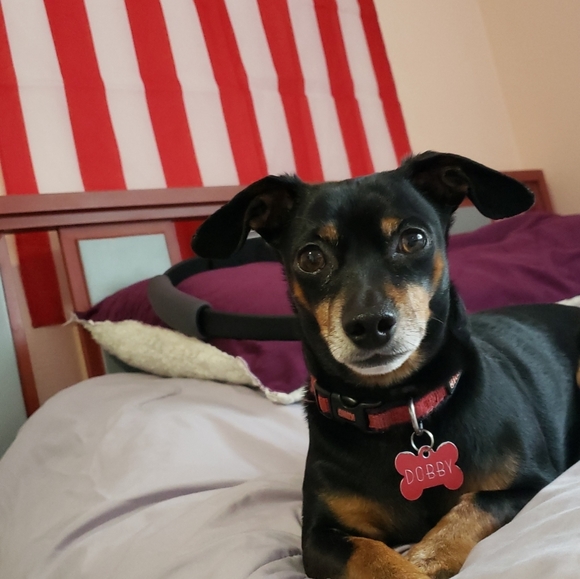 Get to know me! - Picture 8 of 8